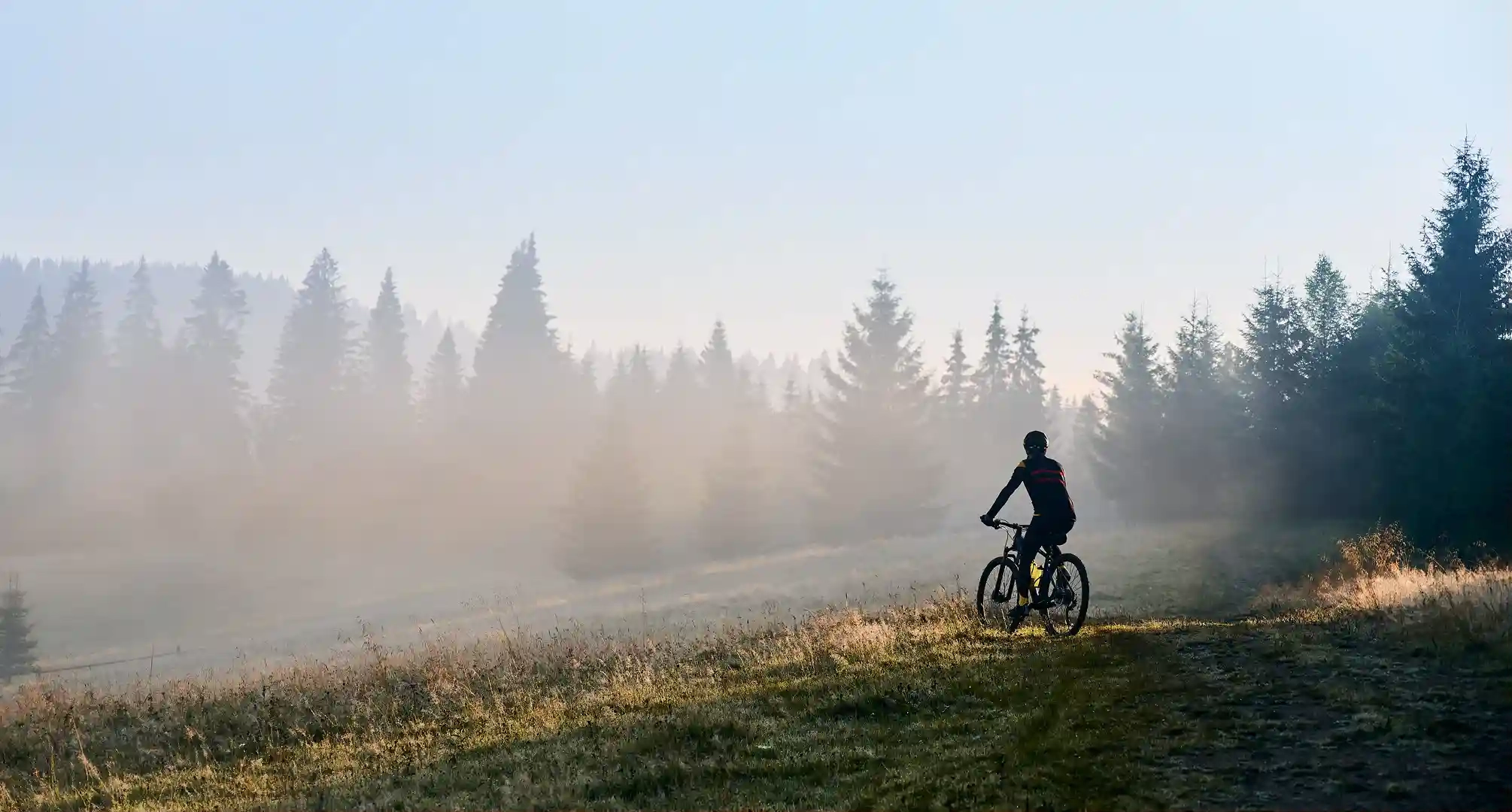 Mountain biker on trail