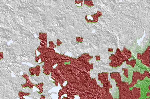 @{@location.name} neighbourhood basemap