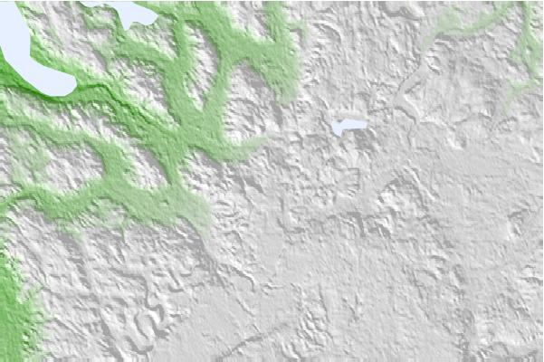 @{@location.name} neighbourhood basemap
