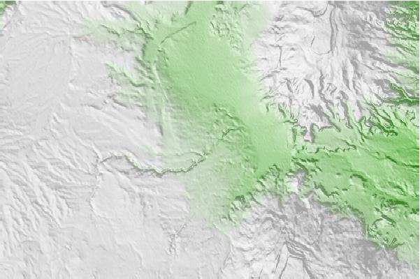 @{@location.name} neighbourhood basemap