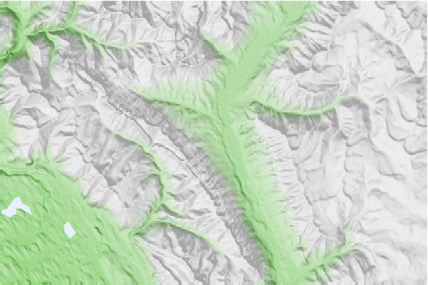 @{@location.name} neighbourhood basemap