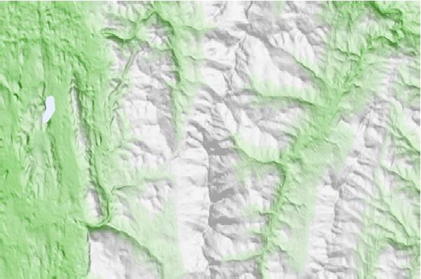 @{@location.name} neighbourhood basemap