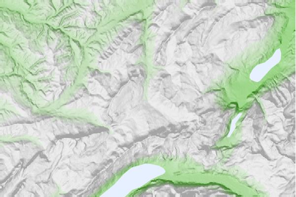 @{@location.name} neighbourhood basemap